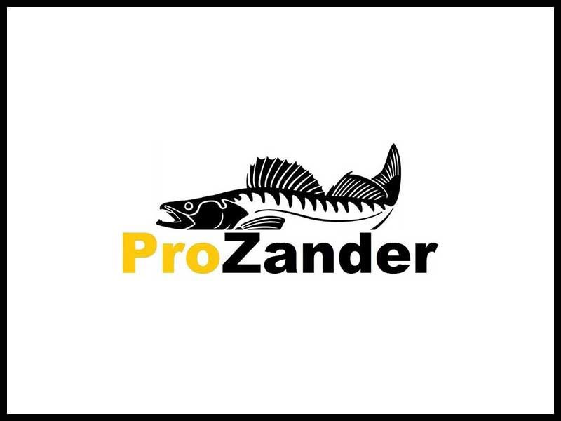 ProZander IT REX Solutions